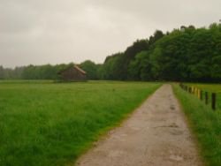 2013-05-19_Iffeldorf_Aiderbichl (23).JPG